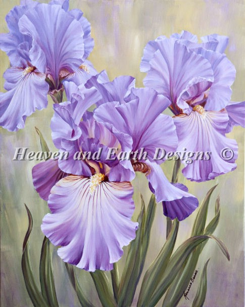 Mauve Irises Material Pack - Click Image to Close